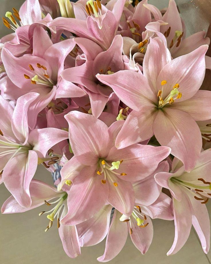 Vintage Velvet Aromatic Posy Fusion